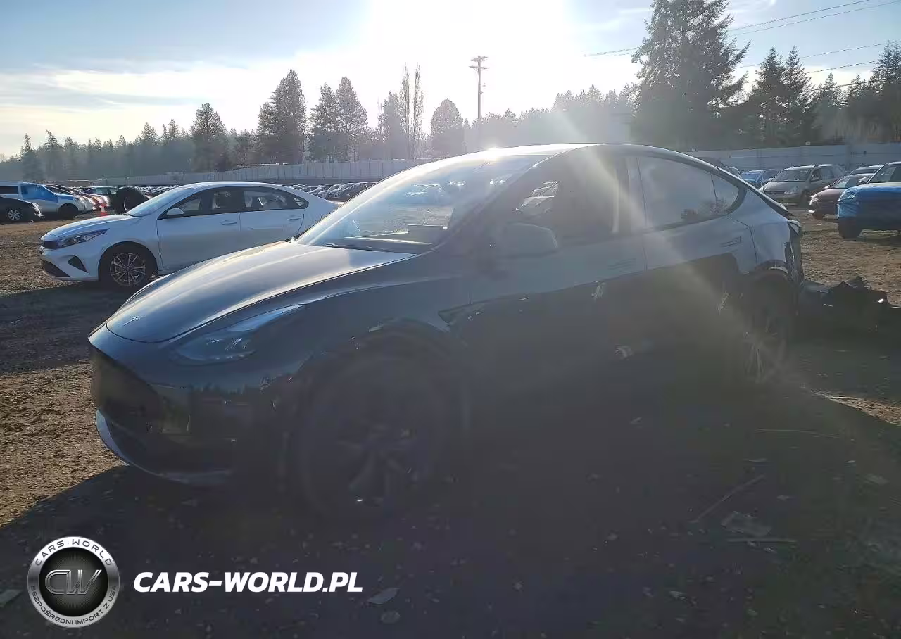 2024 Tesla Model Y