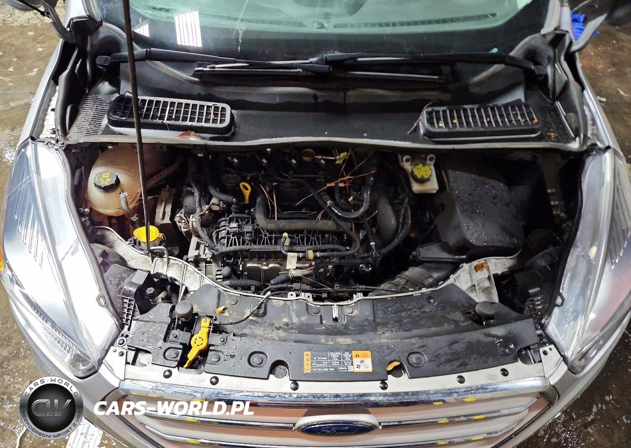 2019 Ford Escape Se VIN:1FMCU9GD7KUA78071 - 12