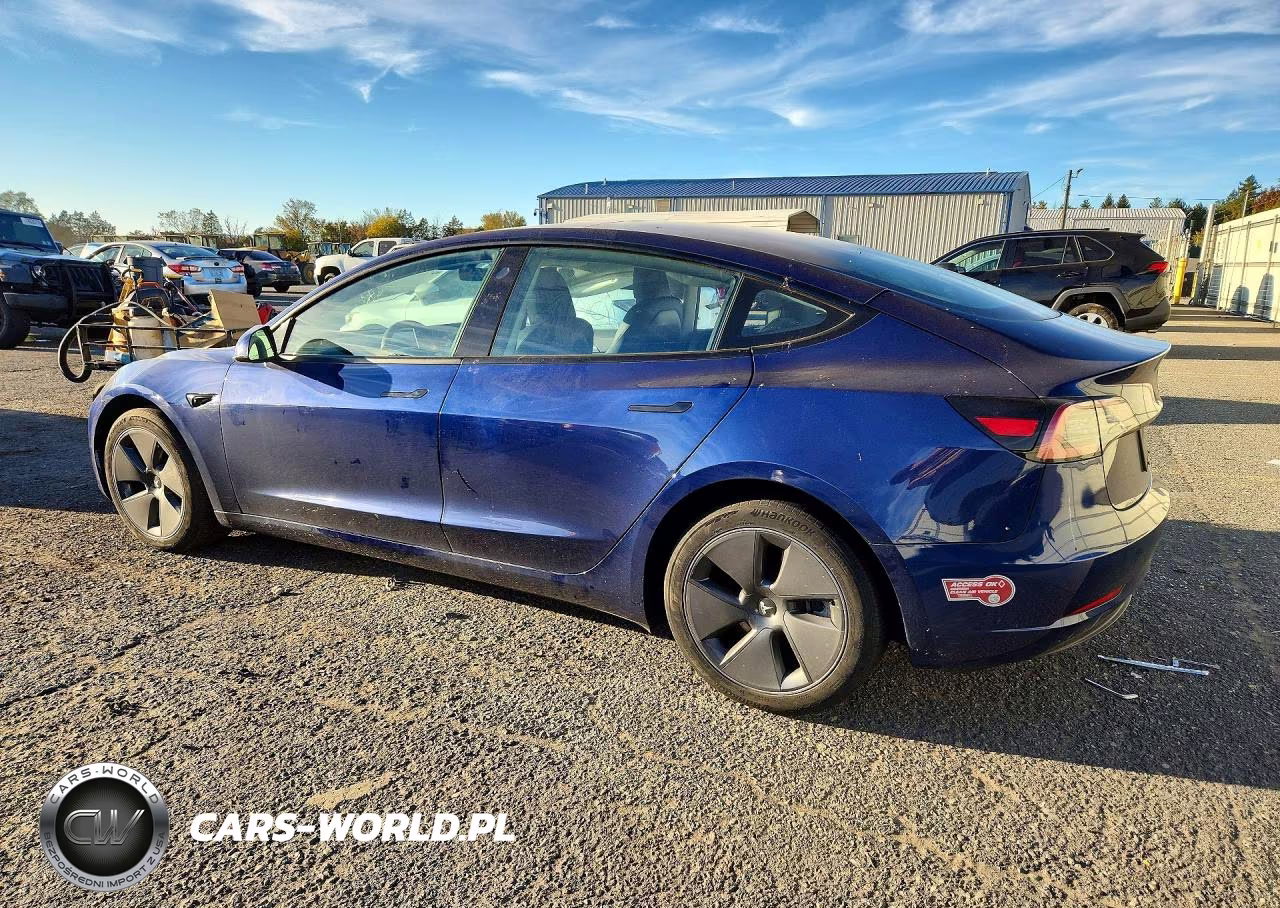 2023 Tesla Model 3 VIN:5YJ3E1EB9PF698814 - 2