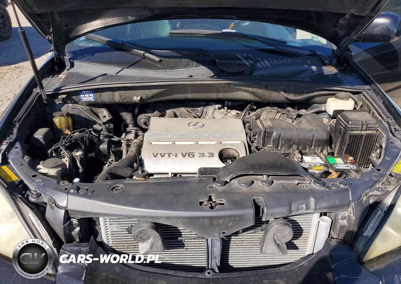 2005 Lexus Rx 330 VIN:2T2GA31U65C040686 - 12