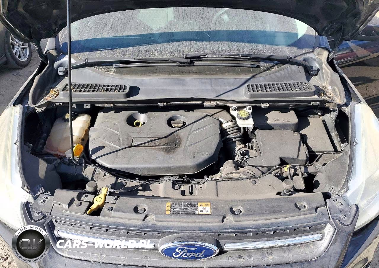 2015 Ford Escape Se VIN:1FMCU0G95FUC89461 - 11