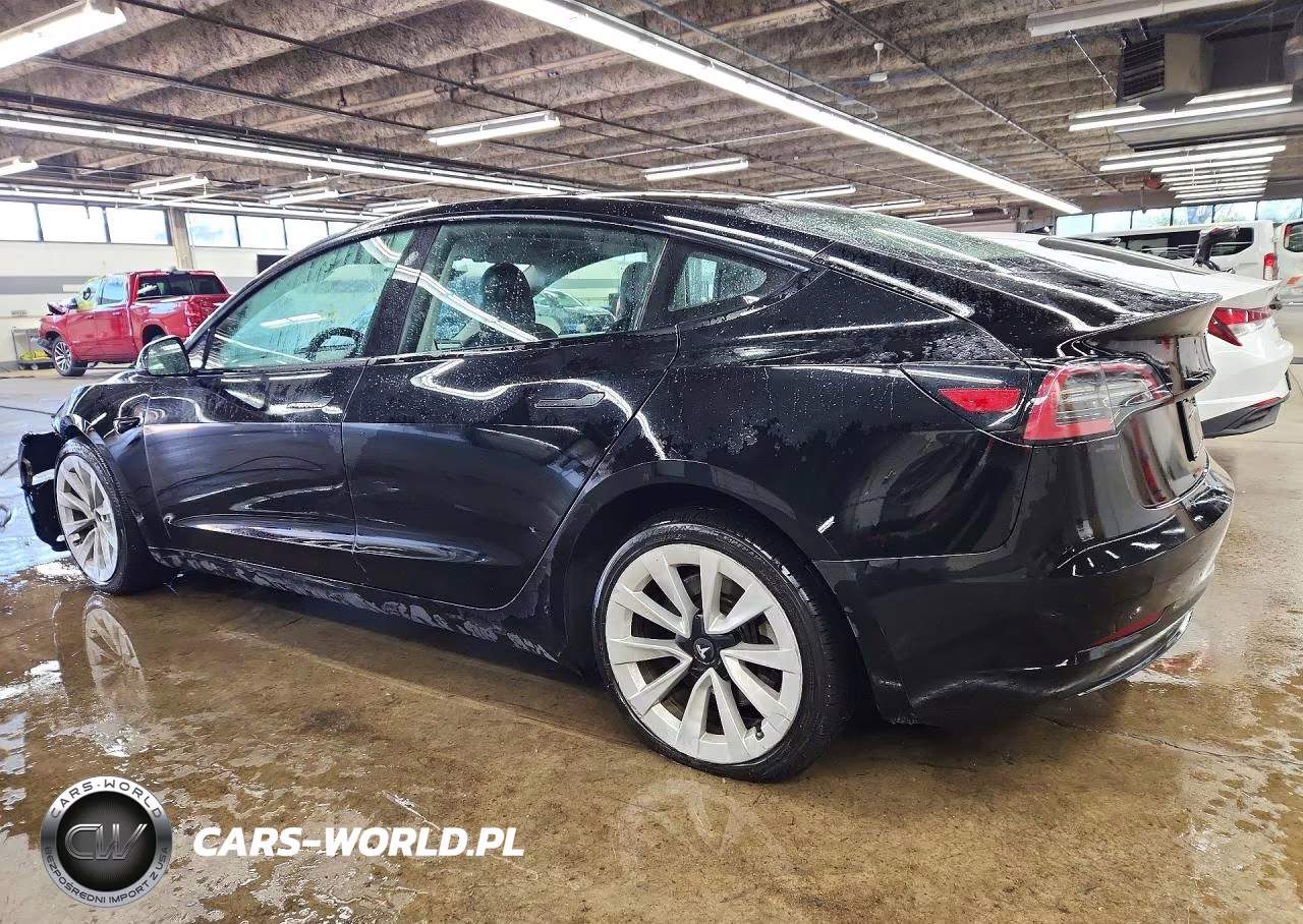 2023 Tesla Model 3 VIN:5YJ3E1EA7PF450181 - 2