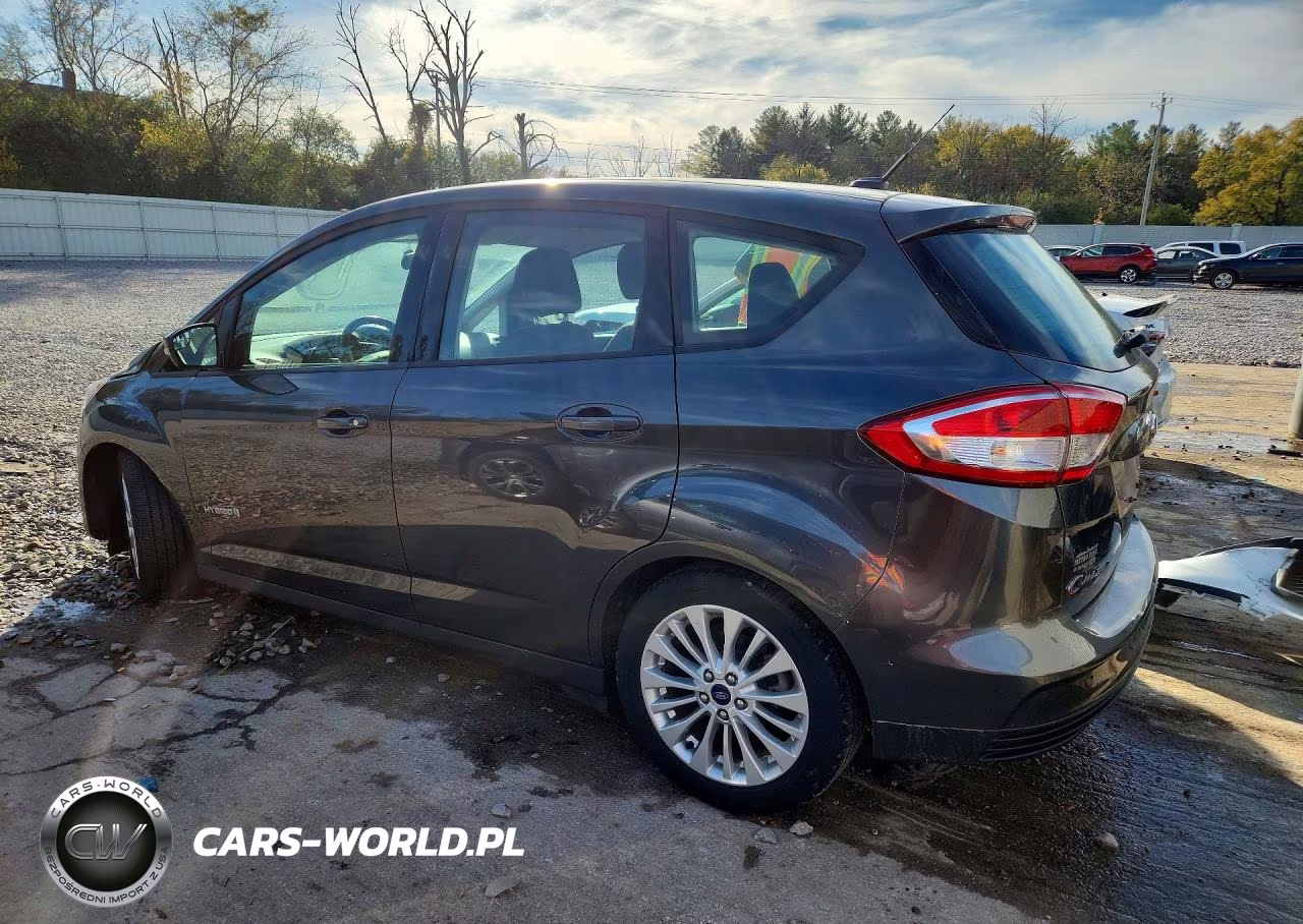 2017 Ford C-Max Se VIN:1FADP5AU4HL115809 - 2