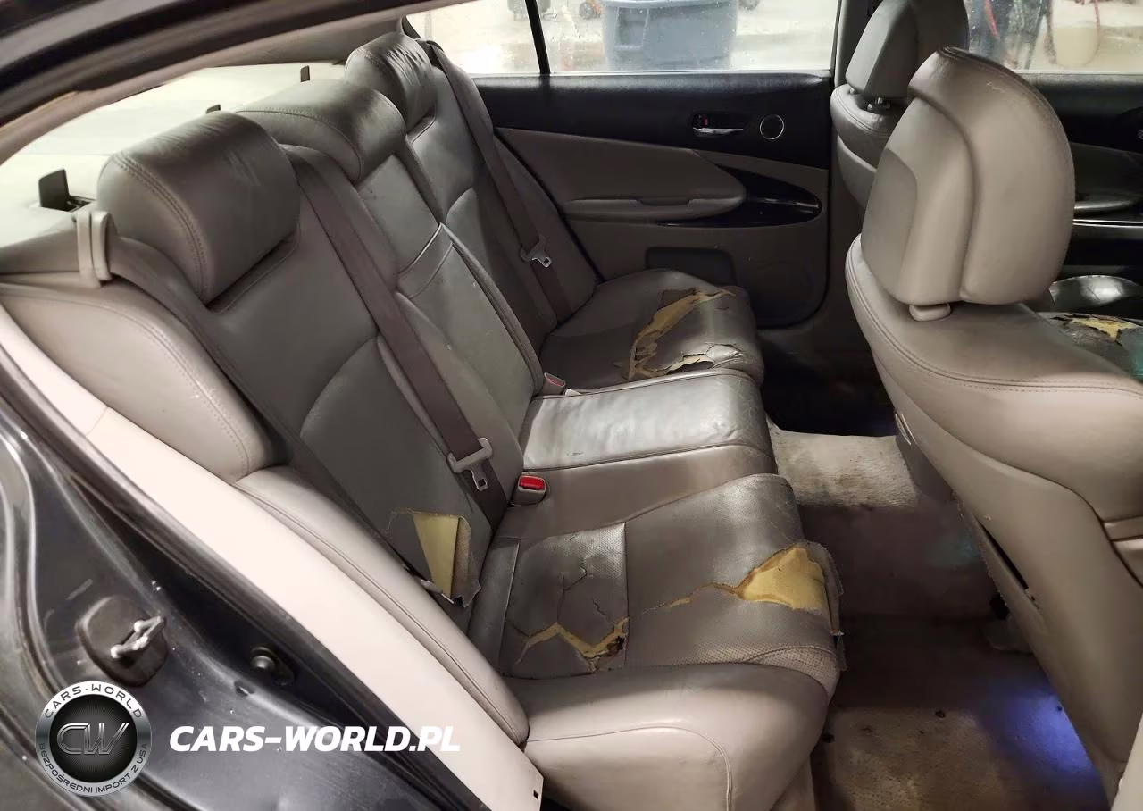 2006 Lexus Gs 300 VIN:JTHBH96S765017029 - 10