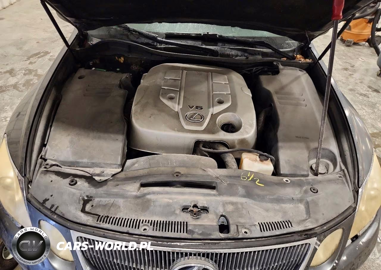 2006 Lexus Gs 300 VIN:JTHBH96S765017029 - 11