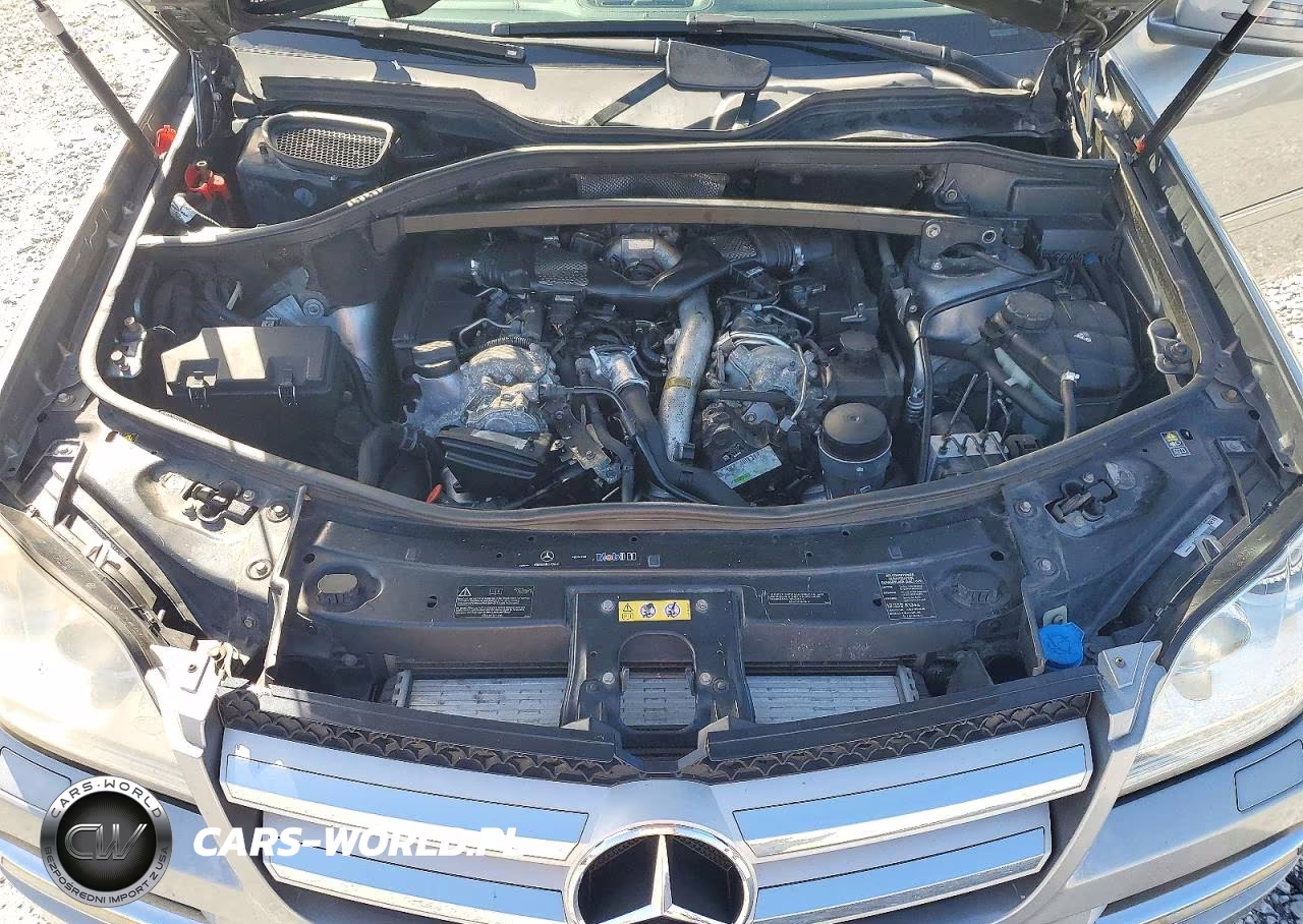 2012 Mercedes-Benz Gl 350 Bluetec VIN:4JGBF2FE6CA784894 - 12