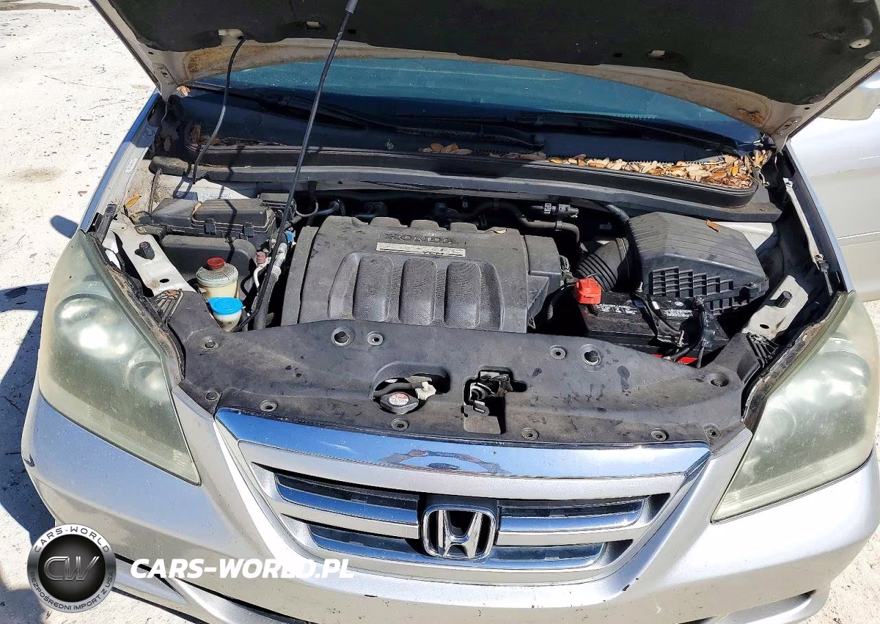 2006 Honda Odyssey Exl VIN:5FNRL38676B404769 - 12