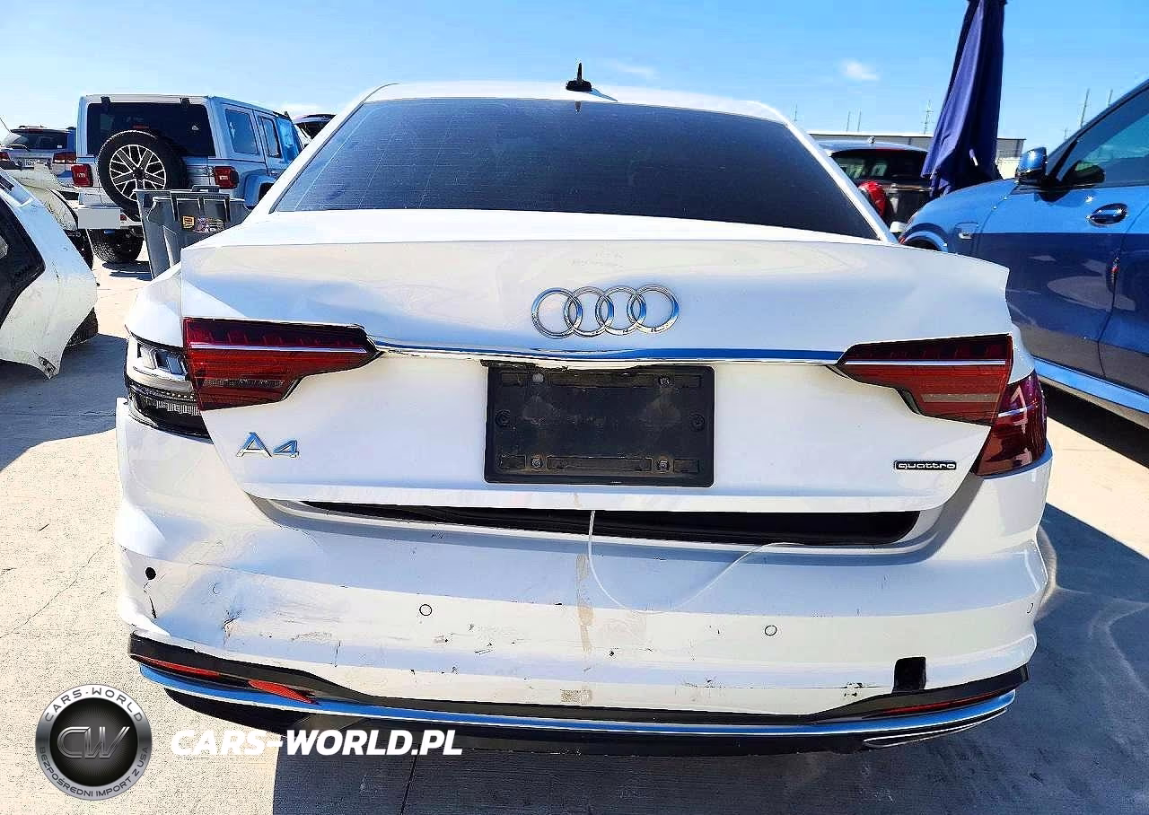 2024 Audi A4 Premium Plus 45 VIN:WAUEAAF49RN006198 - 6