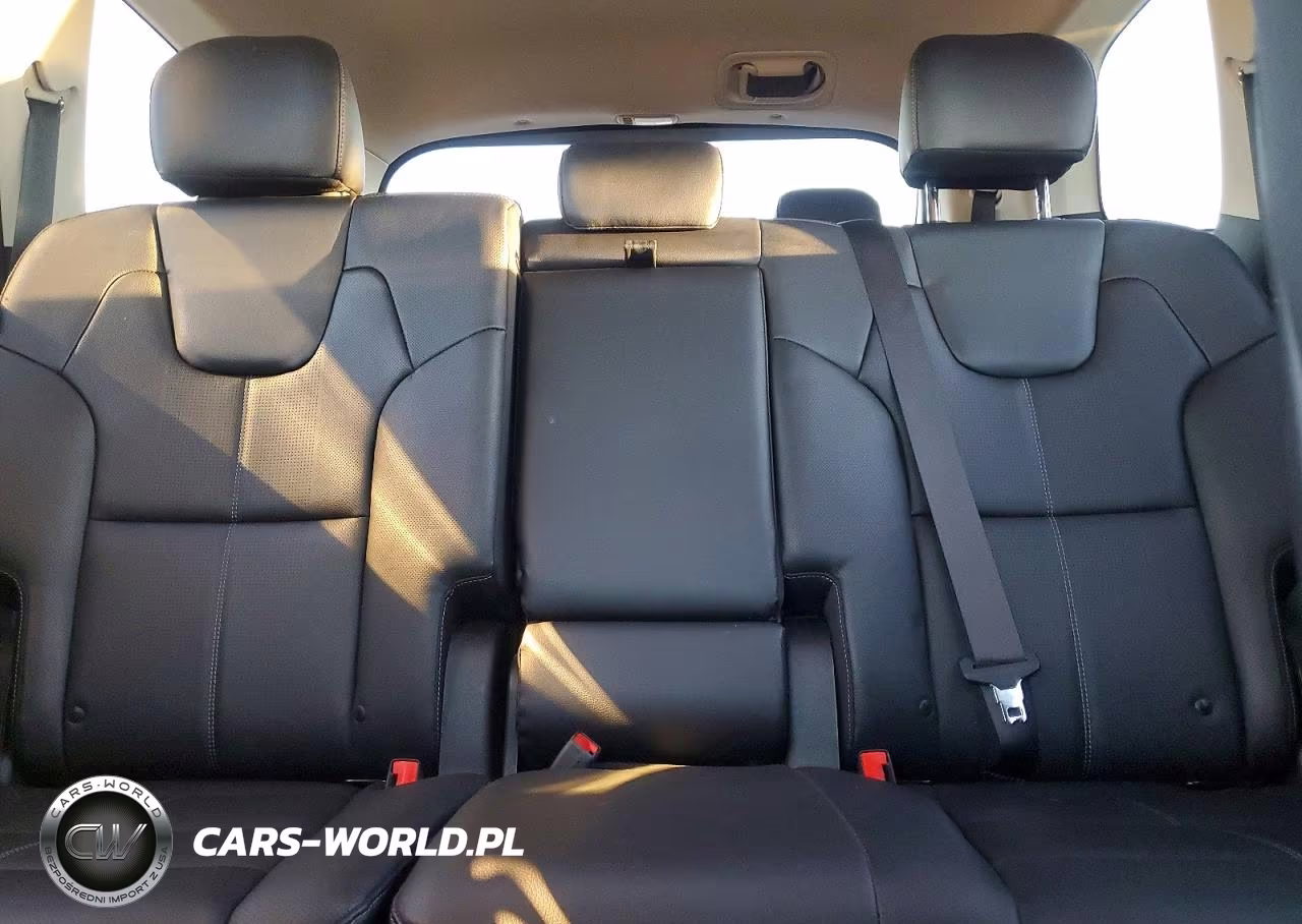 2024 Kia Telluride Ex VIN:5XYP34GC7RG414087 - 10