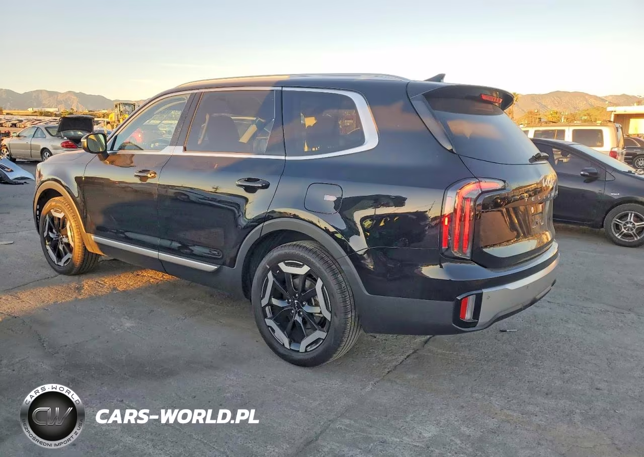 2024 Kia Telluride Ex VIN:5XYP34GC7RG414087 - 2