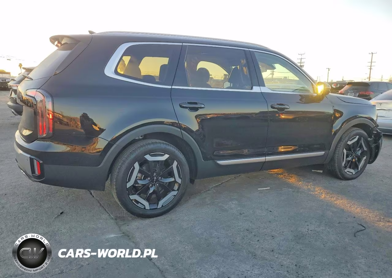 2024 Kia Telluride Ex VIN:5XYP34GC7RG414087 - 3