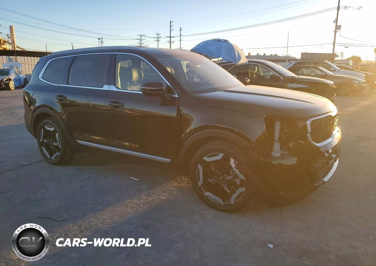 2024 Kia Telluride Ex VIN:5XYP34GC7RG414087 - 4