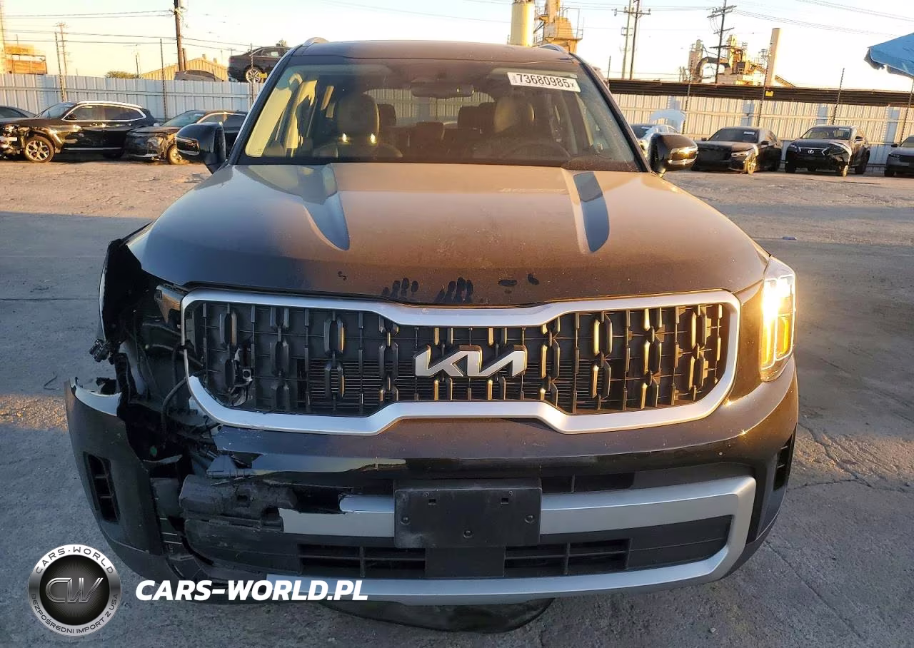 2024 Kia Telluride Ex VIN:5XYP34GC7RG414087 - 5