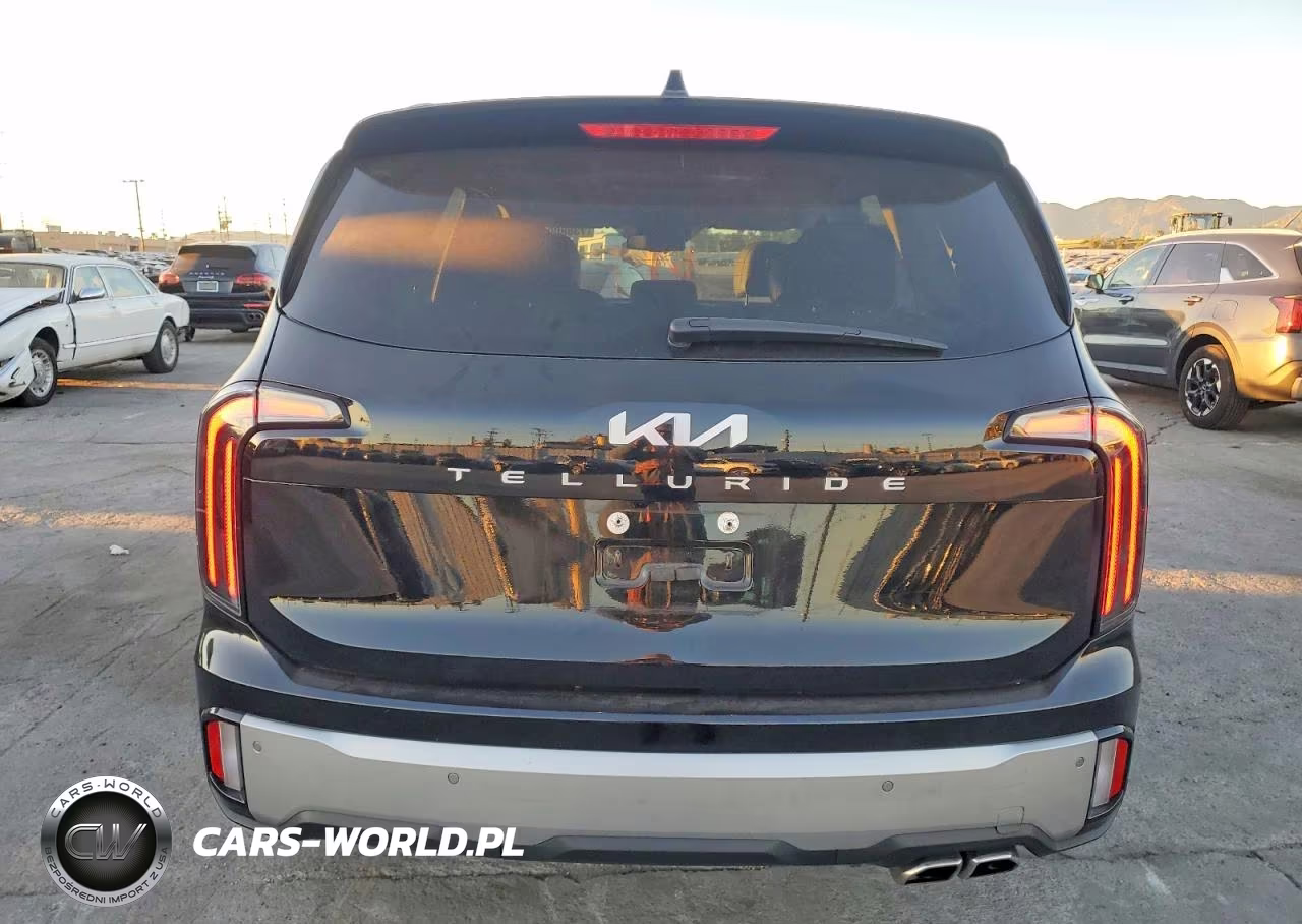 2024 Kia Telluride Ex VIN:5XYP34GC7RG414087 - 6