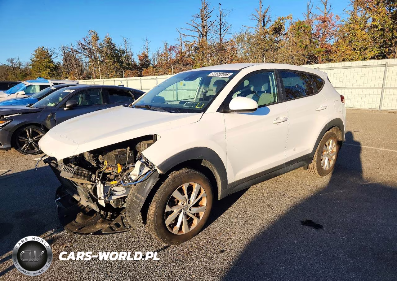 2019 Hyundai Tucson Se VIN:KM8J23A46KU867783 - 1