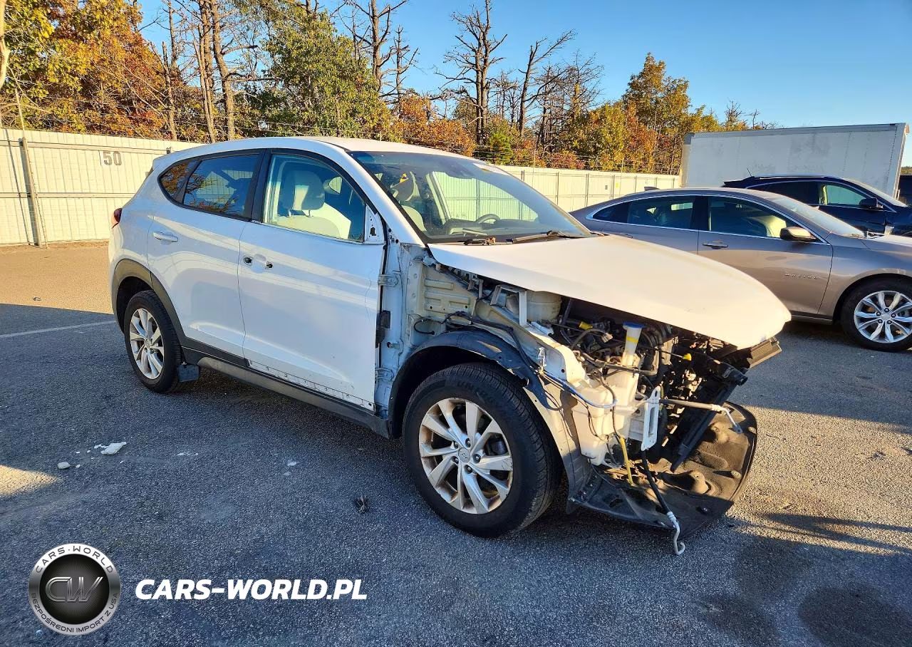 2019 Hyundai Tucson Se VIN:KM8J23A46KU867783 - 4