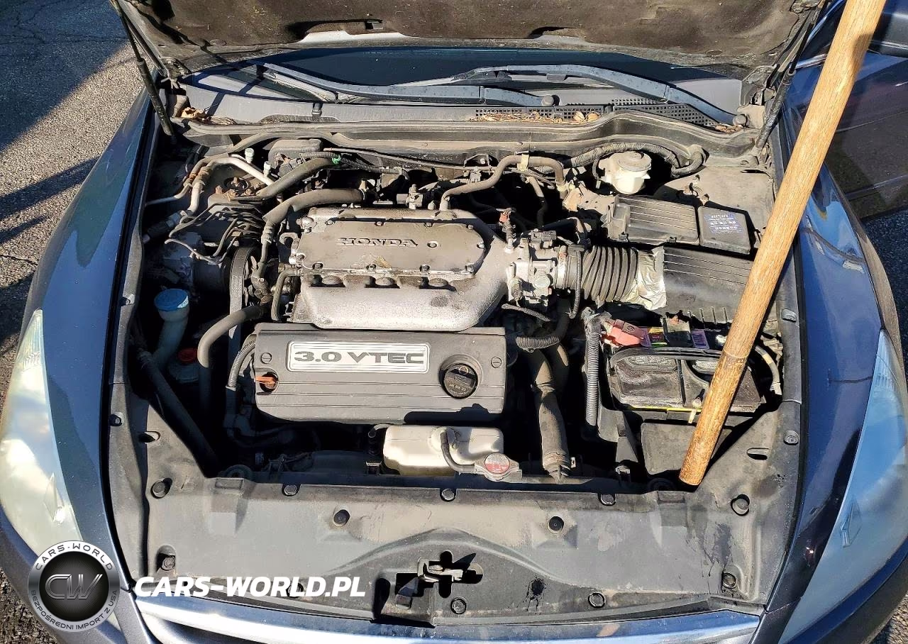 2007 Honda Accord Se VIN:1HGCM66427A064304 - 11