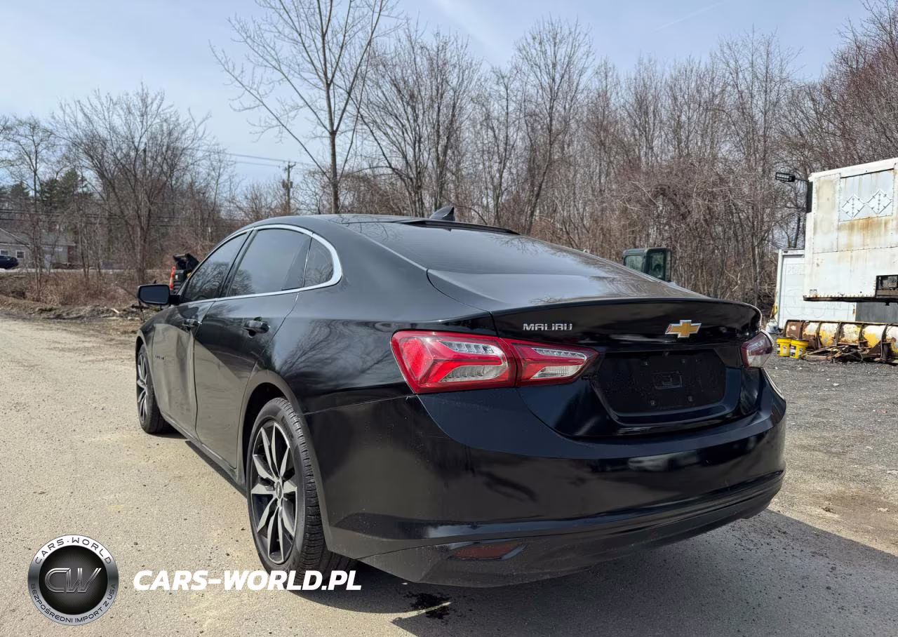 2019 Chevrolet Malibu Lt VIN:1G1ZD5ST5KF135693 - 3