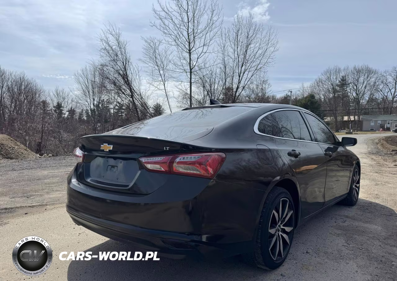2019 Chevrolet Malibu Lt VIN:1G1ZD5ST5KF135693 - 4