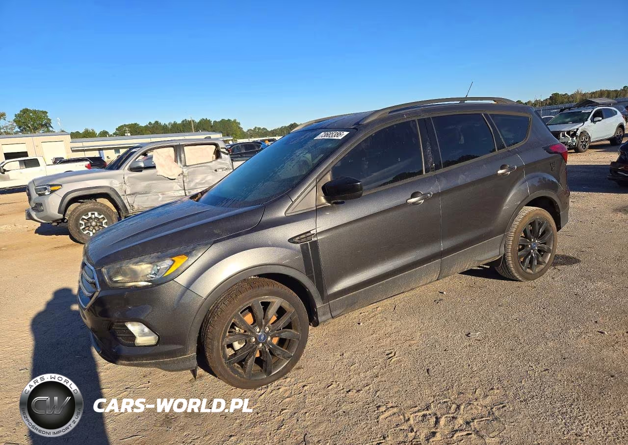 2019 Ford Escape Se