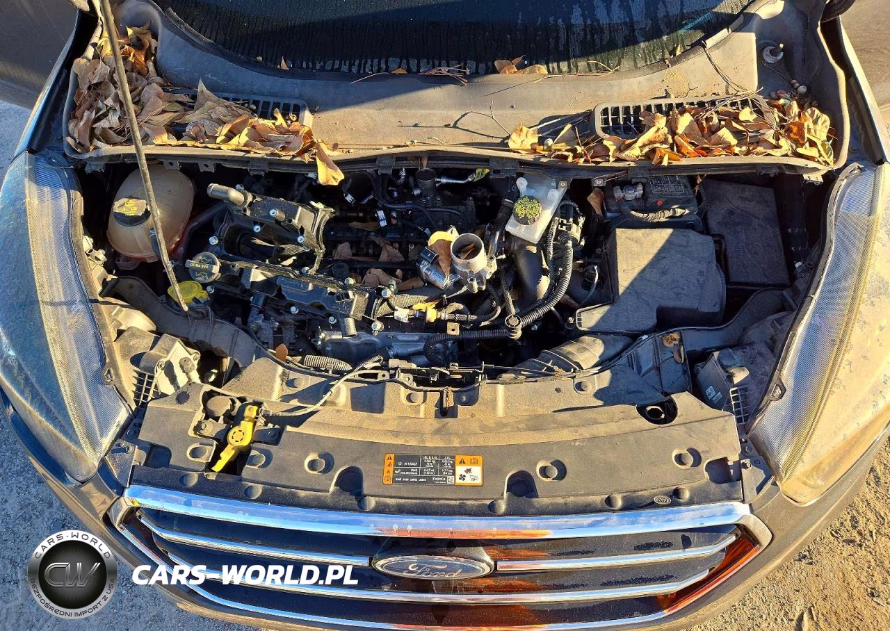 2019 Ford Escape Se VIN:1FMCU0GD2KUA64851 - 12