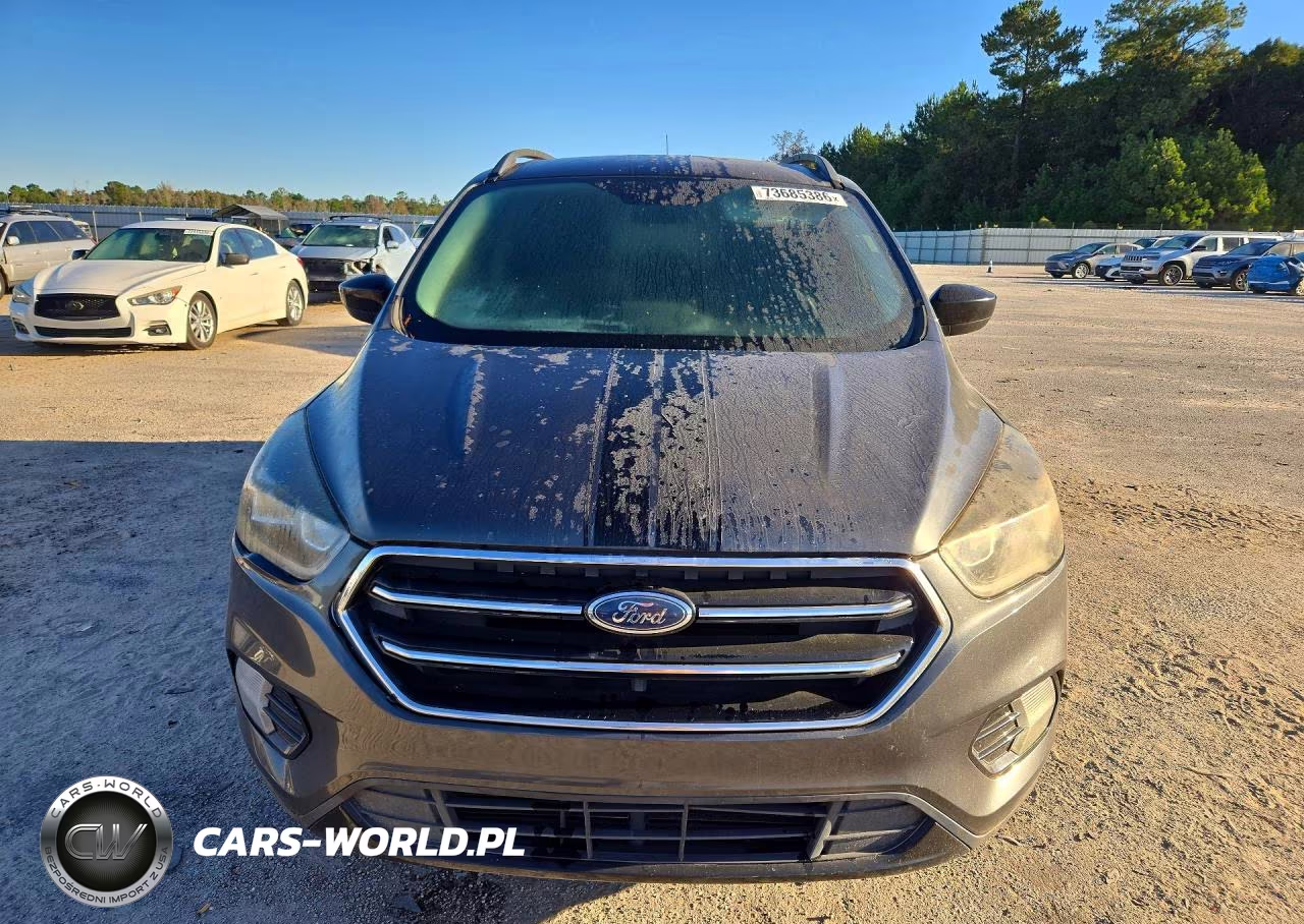 2019 Ford Escape Se VIN:1FMCU0GD2KUA64851 - 5