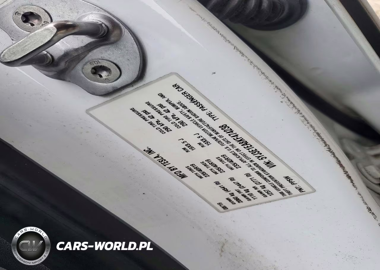 2019 Tesla Model 3 VIN:5YJ3E1EA8KF474238 - 12