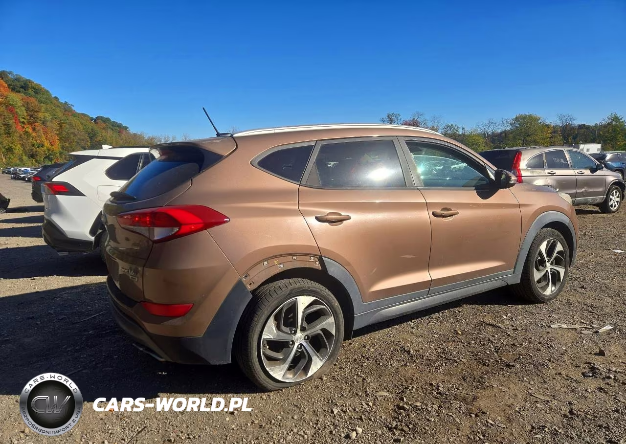 2016 Hyundai Tucson Sport VIN:KM8J3CA29GU023210 - 3