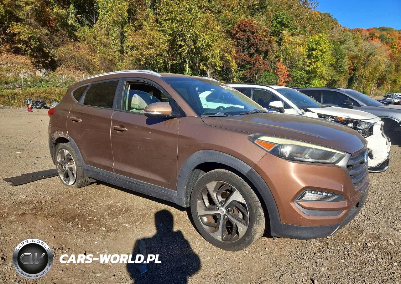 2016 Hyundai Tucson Sport VIN:KM8J3CA29GU023210 - 4