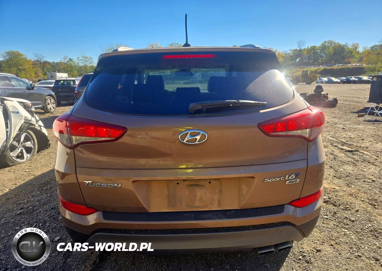 2016 Hyundai Tucson Sport VIN:KM8J3CA29GU023210 - 6