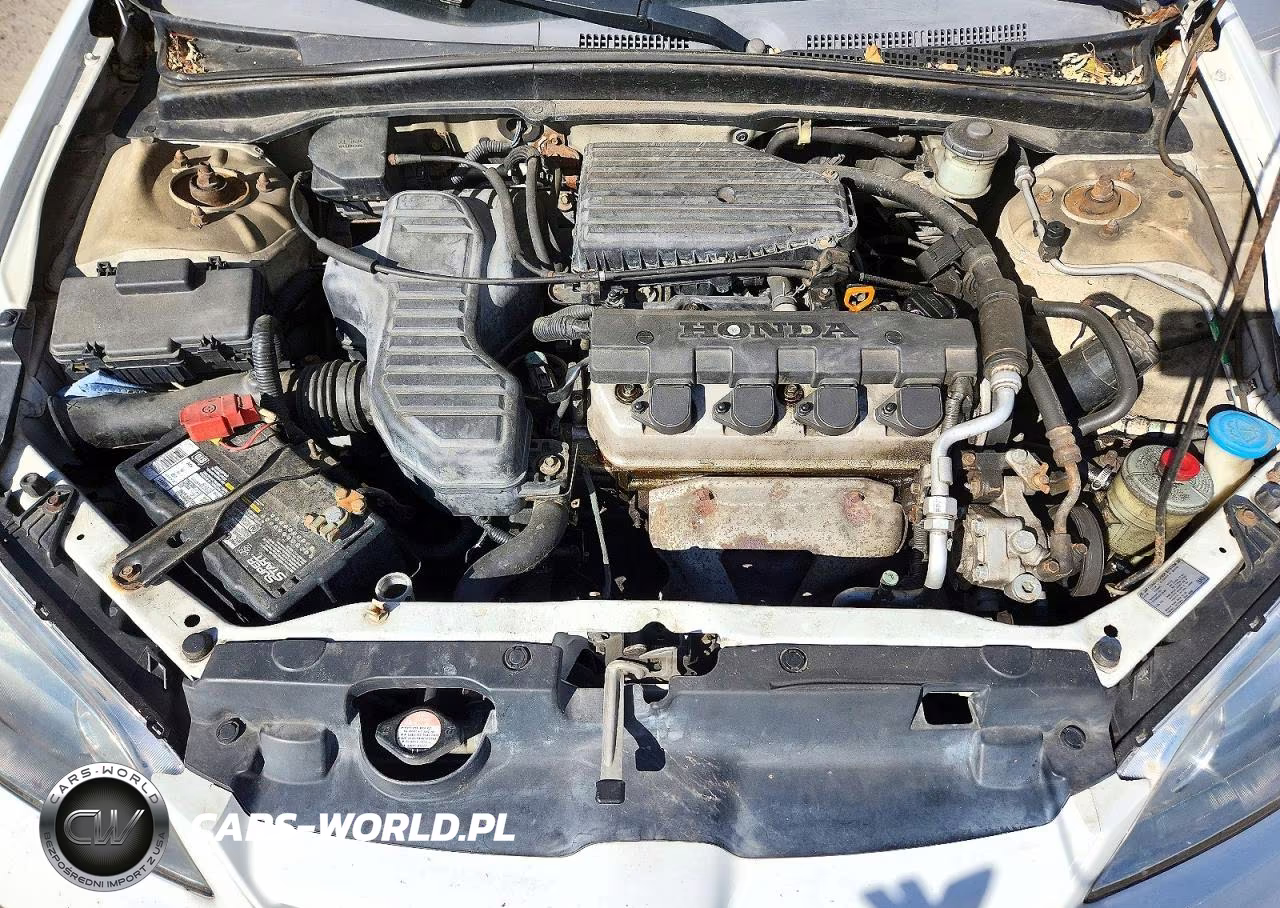2005 Honda Civic Lx VIN:2HGES165X5H629598 - 11