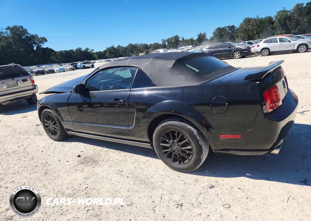2005 Ford Mustang VIN:1ZVFT84N255254693 - 2
