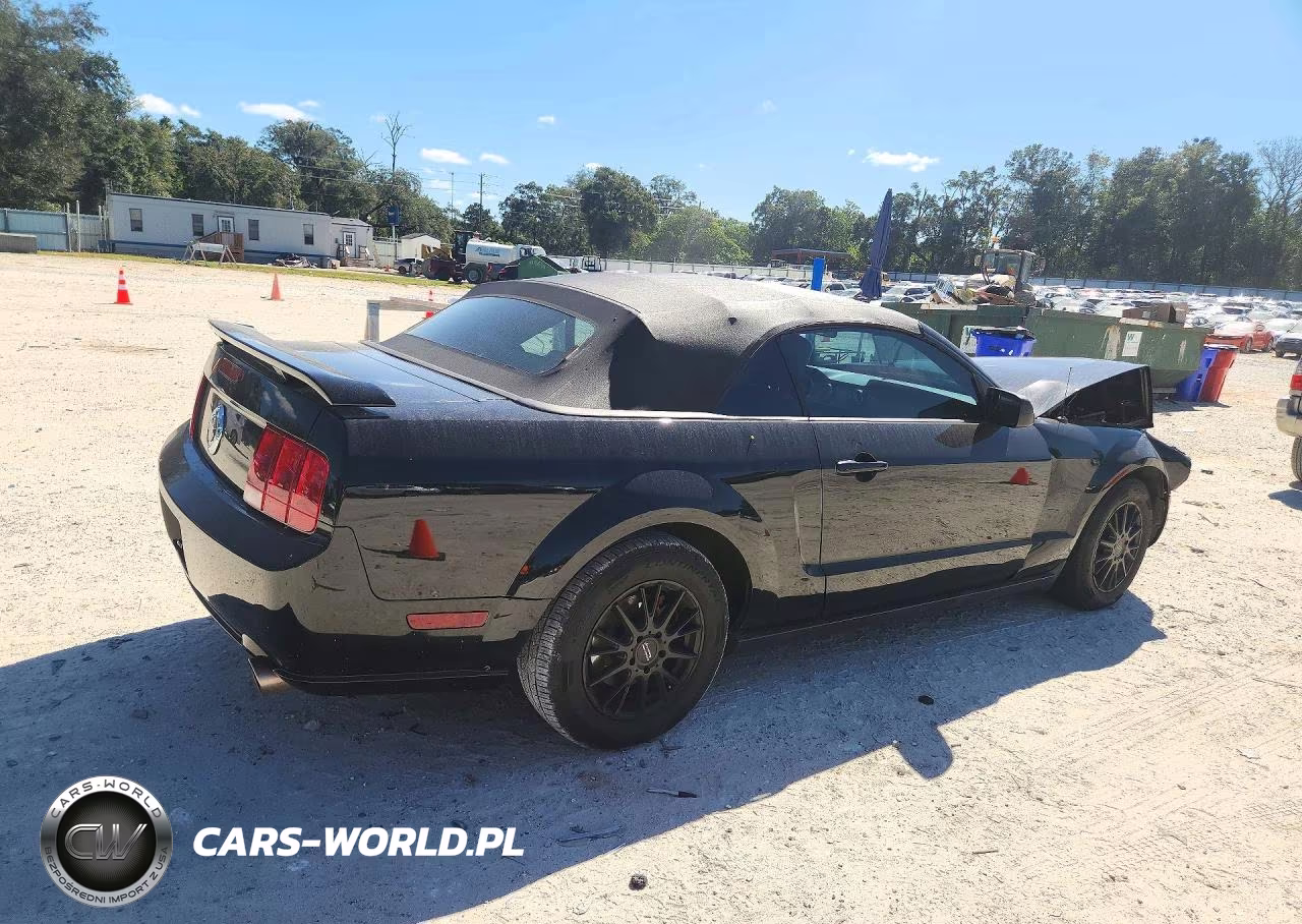 2005 Ford Mustang VIN:1ZVFT84N255254693 - 3