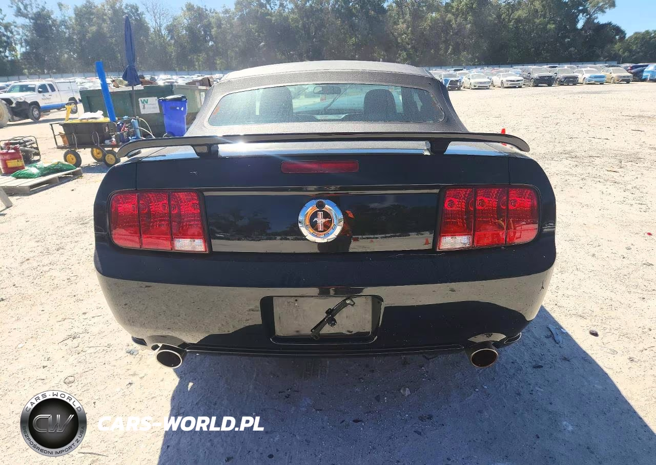2005 Ford Mustang VIN:1ZVFT84N255254693 - 6