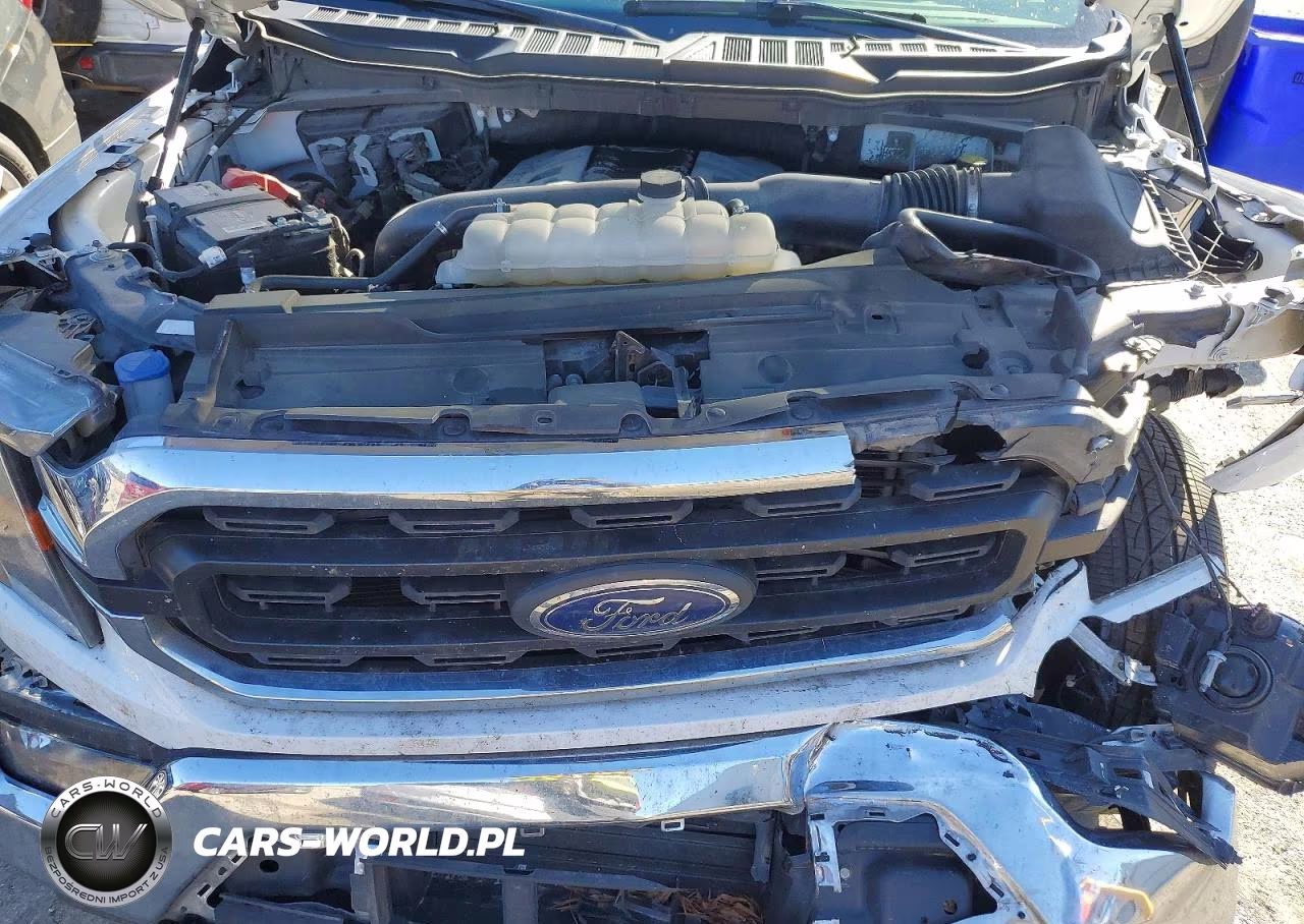 2023 Ford F150 Supercrew VIN:1FTFW1E83PKE11386 - 11