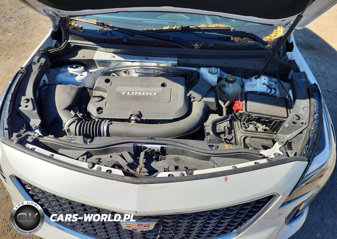 2019 Cadillac Xt4 Sport VIN:1GYFZFR48KF211644 - 12