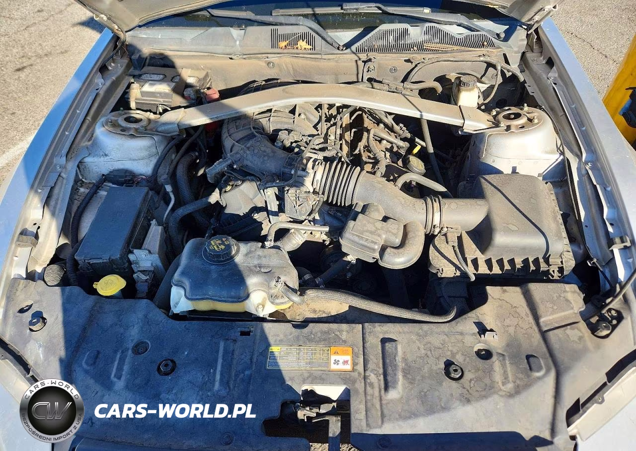 2014 Ford Mustang VIN:1ZVBP8EM1E5210600 - 11