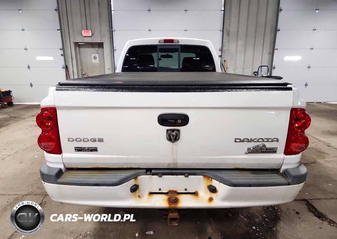 2010 Dodge Dakota Sxt VIN:1D7CE3BK1AS145879 - 6