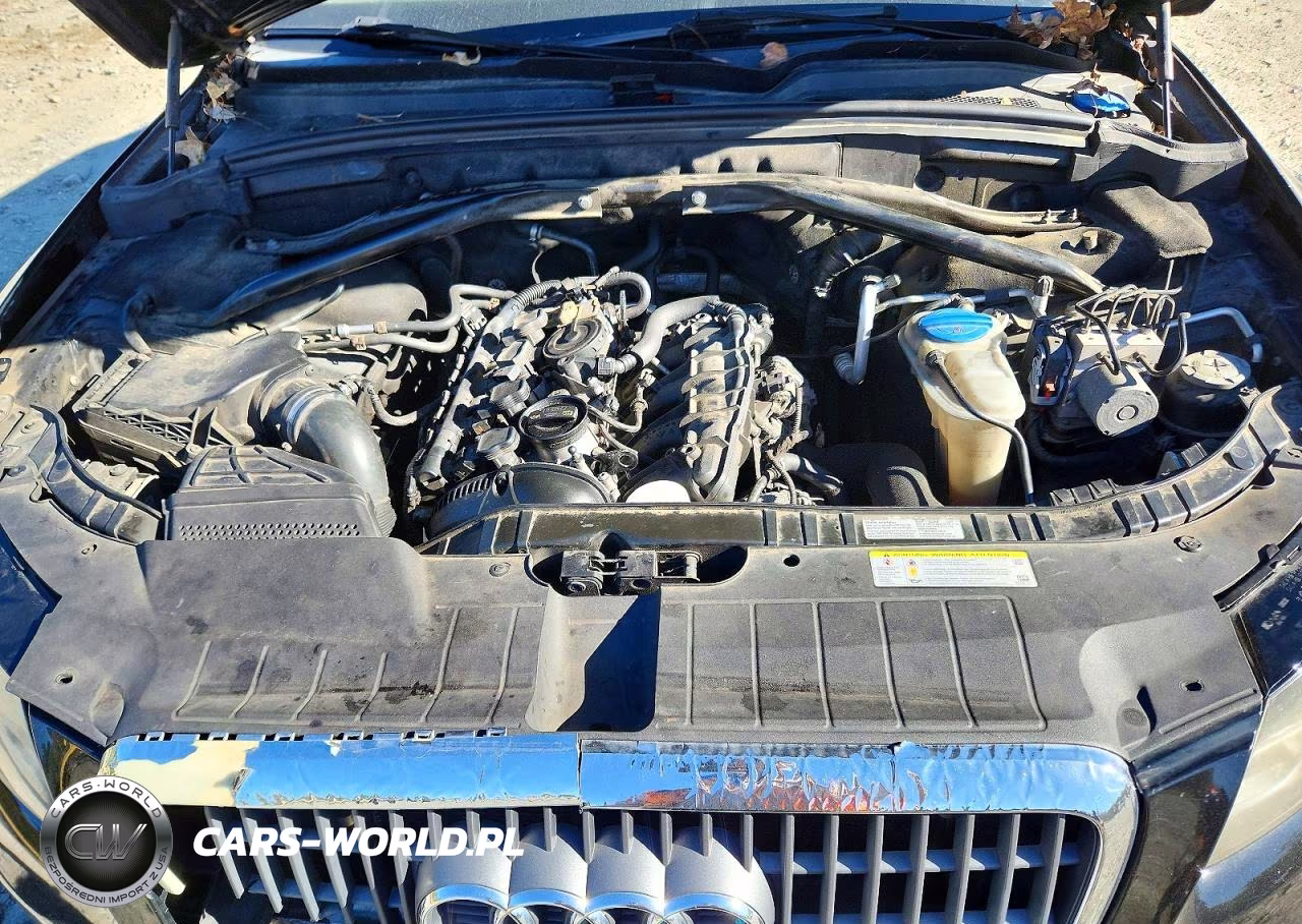 2012 Audi Q5 Premium Plus VIN:WA1LFAFP5CA090194 - 12