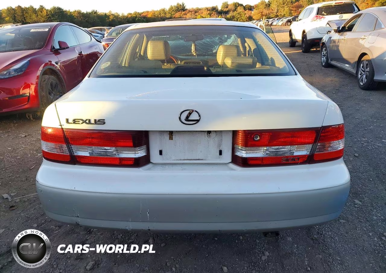 2000 Lexus Es 300 VIN:JT8BF28G1Y5101209 - 6