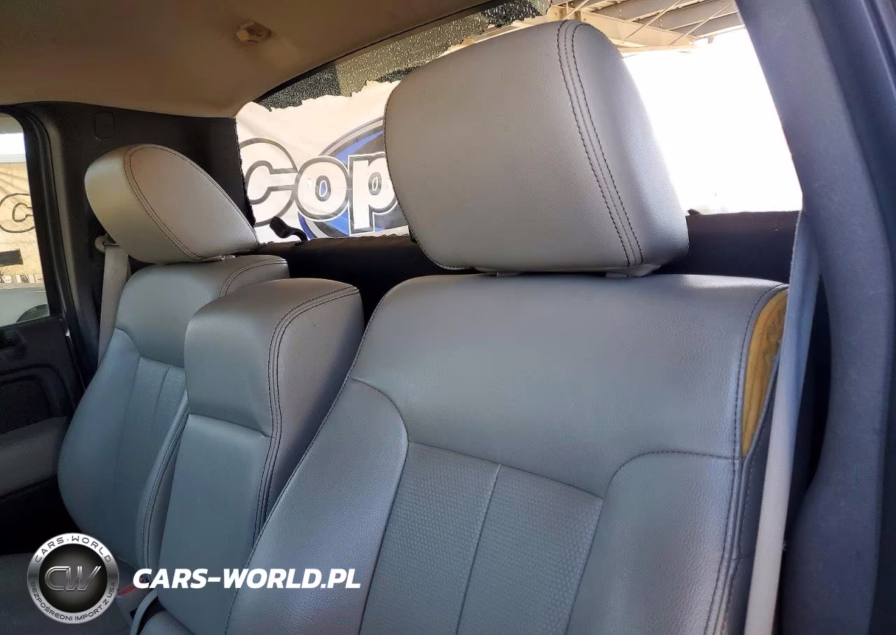 2009 Ford F150 VIN:1FTRF12W29KB52196 - 10