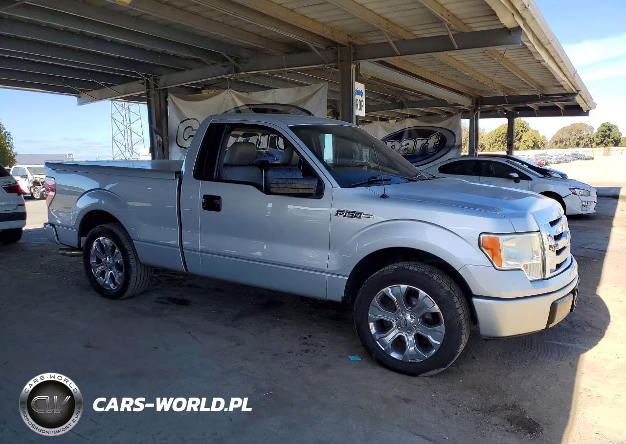 2009 Ford F150 VIN:1FTRF12W29KB52196 - 4