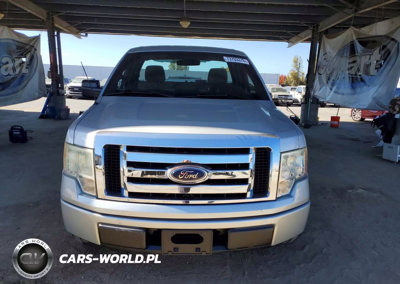 2009 Ford F150 VIN:1FTRF12W29KB52196 - 5