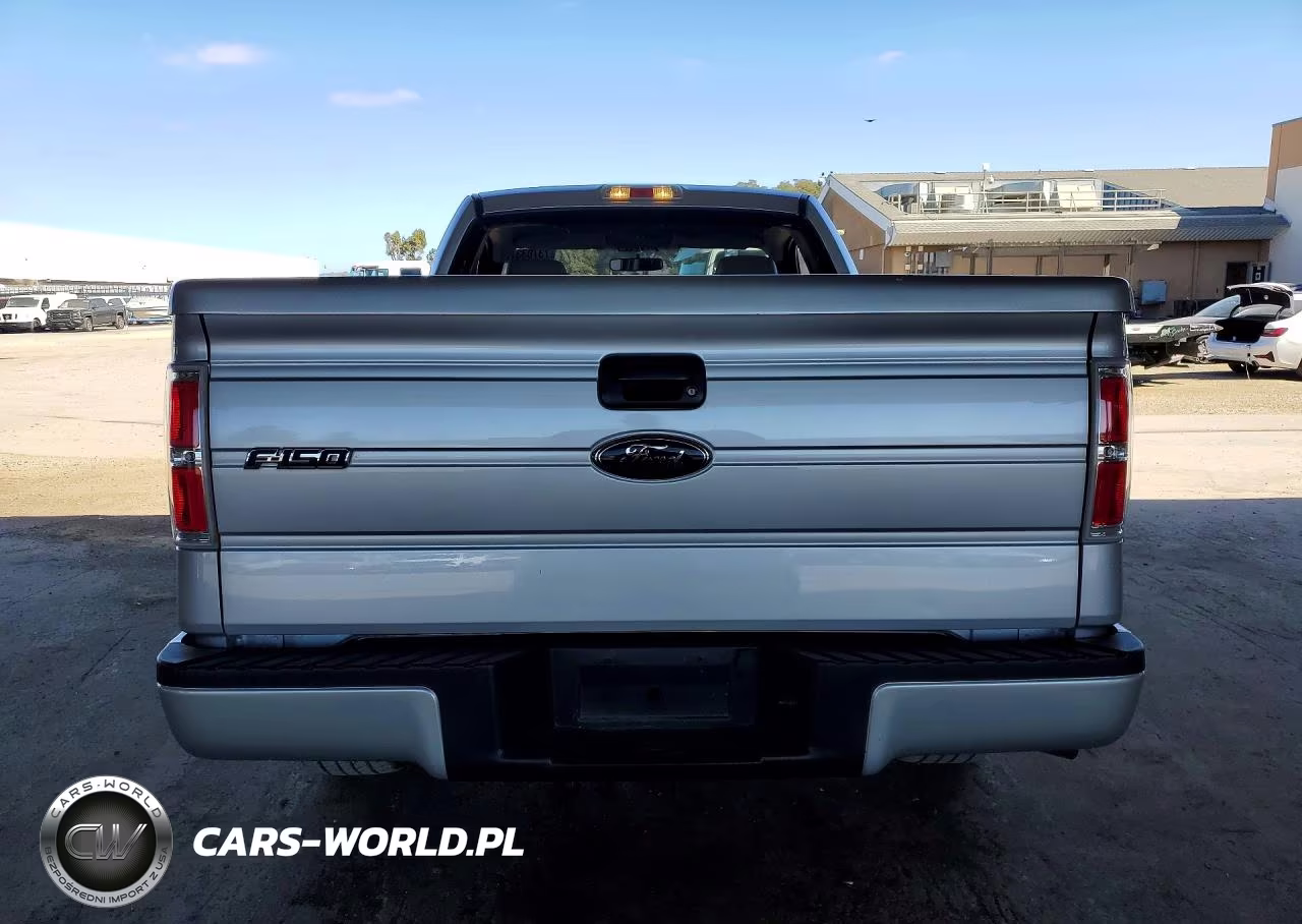 2009 Ford F150 VIN:1FTRF12W29KB52196 - 6