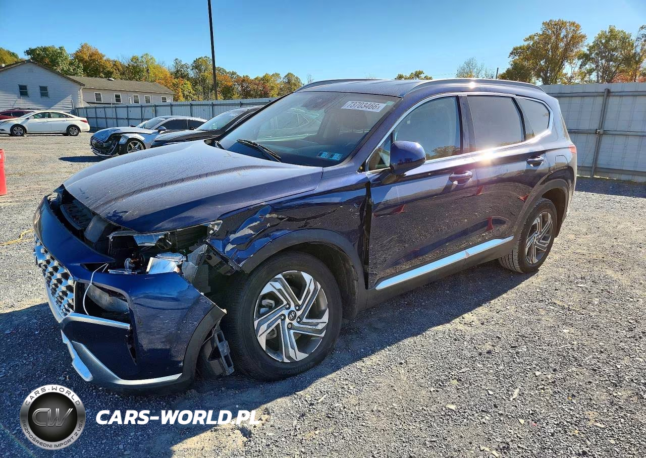 2022 Hyundai Santa Fe Sel VIN:5NMS2DAJ6NH466010 - 1