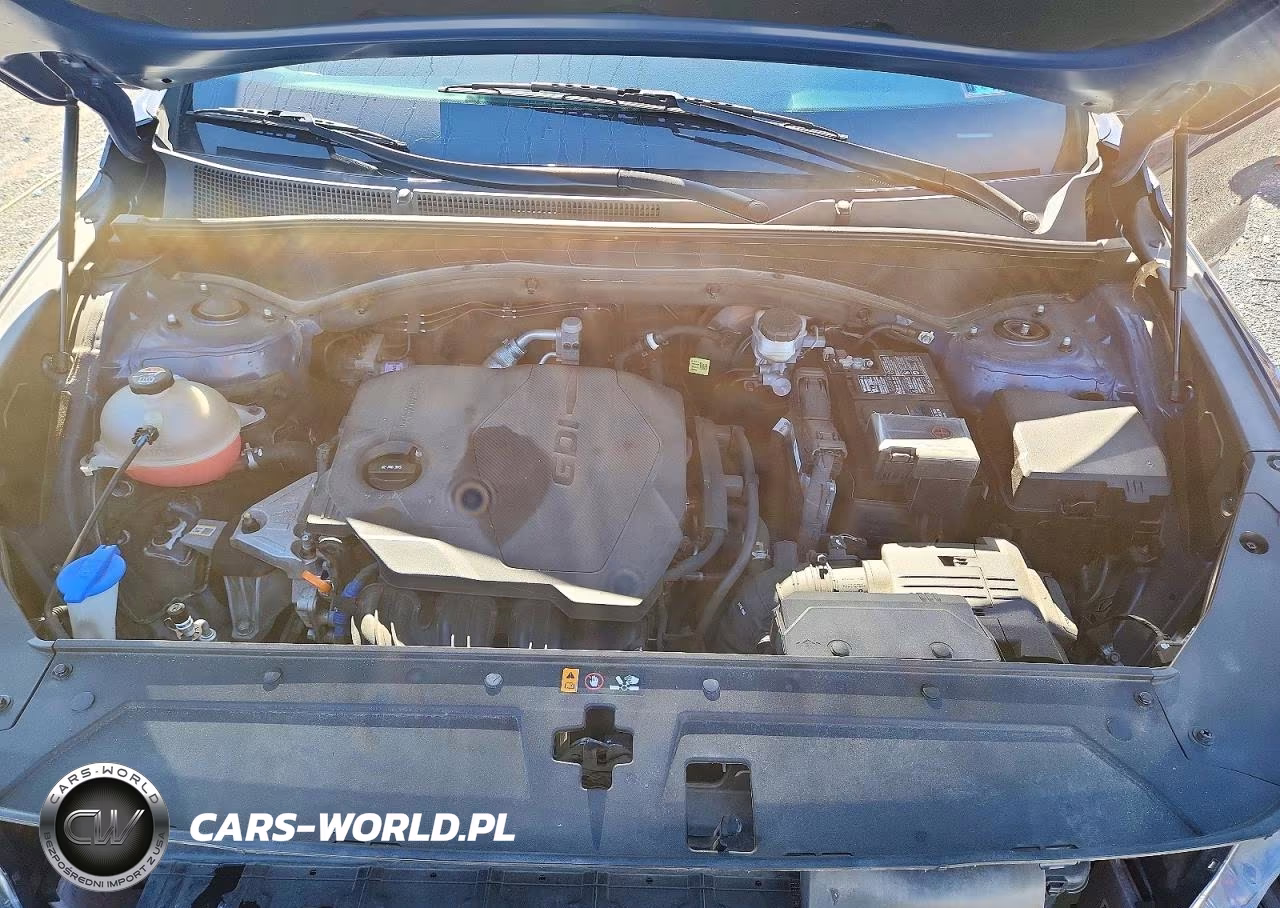 2022 Hyundai Santa Fe Sel VIN:5NMS2DAJ6NH466010 - 12