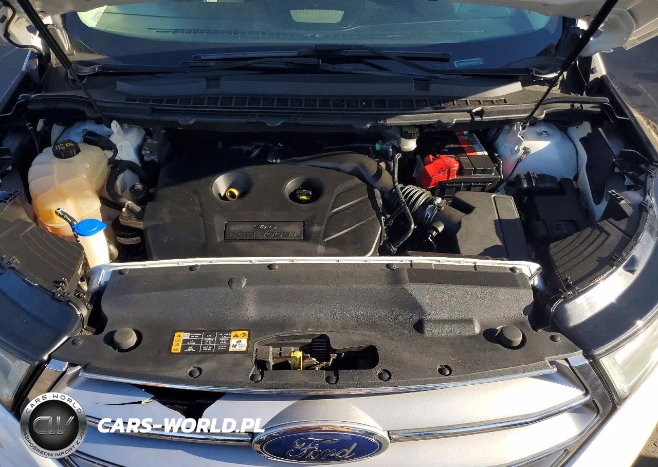 2018 Ford Edge Sel VIN:2FMPK3J97JBB19375 - 12
