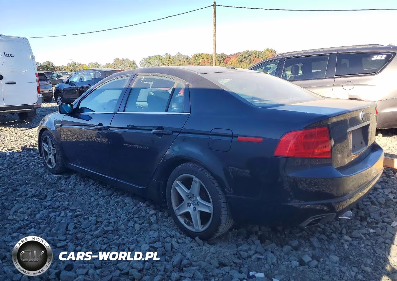 2006 Acura 3.2Tl VIN:19UUA66216A032213 - 2