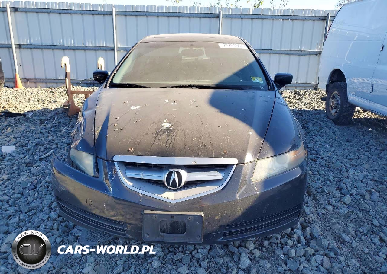2006 Acura 3.2Tl VIN:19UUA66216A032213 - 5