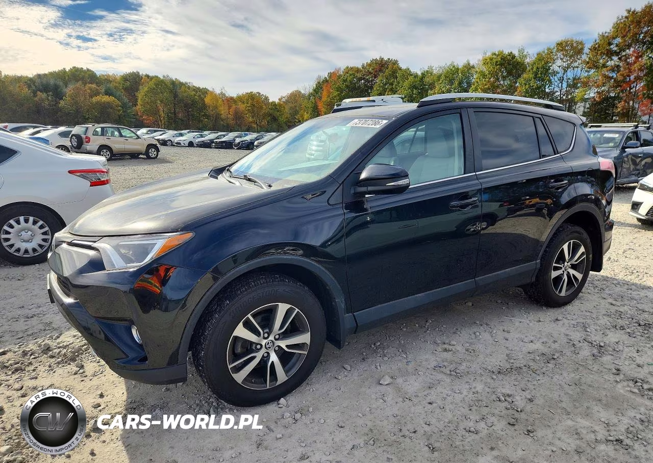 2016 Toyota Rav4 Xle VIN:2T3RFREV2GW480028 - 1